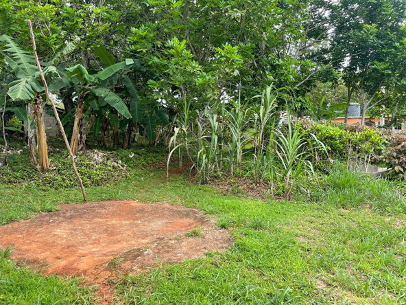 Sixteenth image of Land Part of Spur Tree in Spur Tree, Manchester, Jamaica - property is For Sale