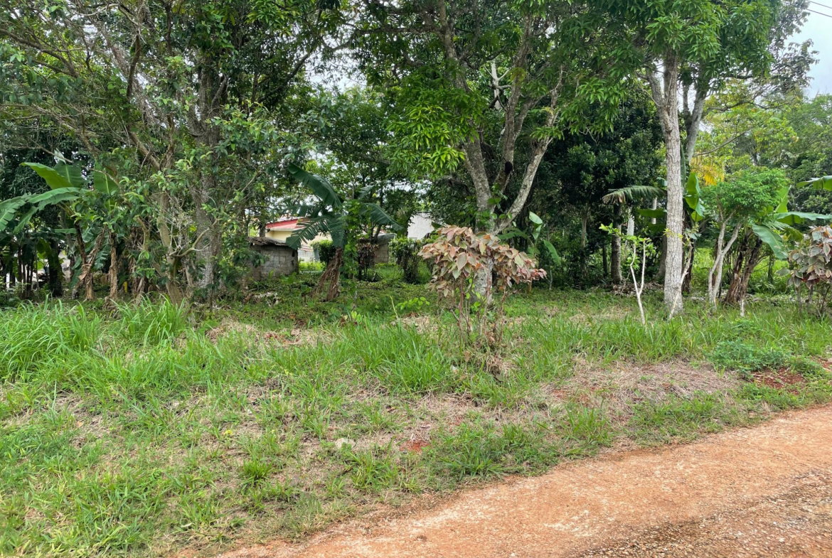 Seventeenth image of Land Part of Spur Tree in Spur Tree, Manchester, Jamaica - property is For Sale