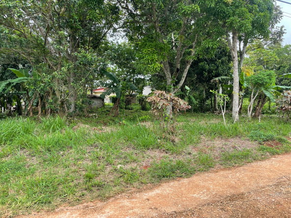 Seventeenth image of Land Part of Spur Tree in Spur Tree, Manchester, Jamaica - property is For Sale