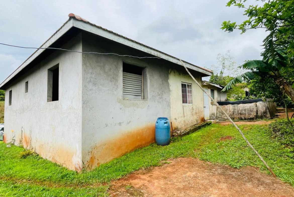 Fifth image of Land Part of Spur Tree in Spur Tree, Manchester, Jamaica - property is For Sale