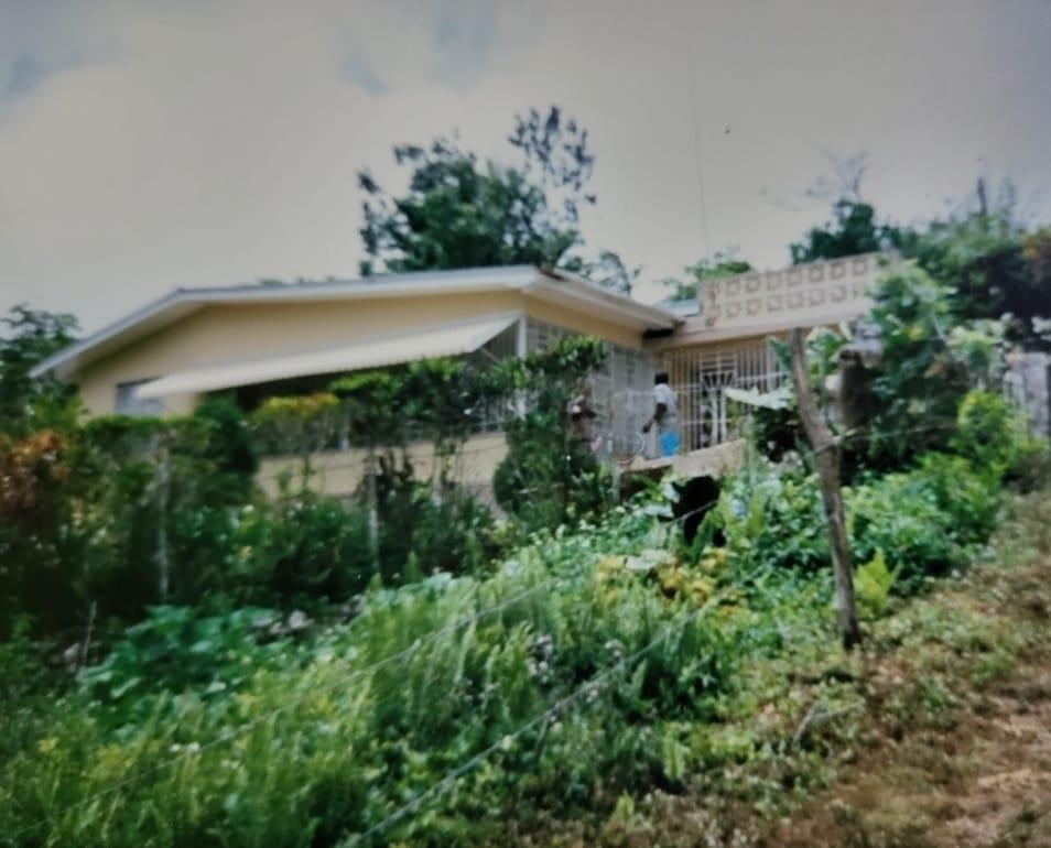Seventeenth image of Canaan Road Bamboo St. an in Bamboo, St. Ann, Jamaica - property is For Sale