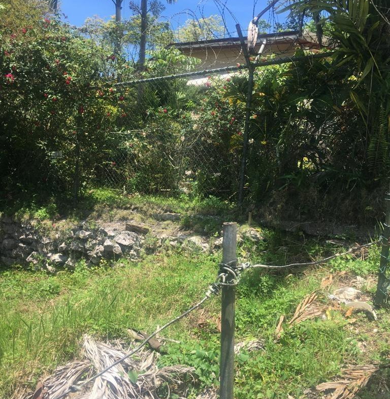 Ninth image of Canaan Road Bamboo St. an in Bamboo, St. Ann, Jamaica - property is For Sale