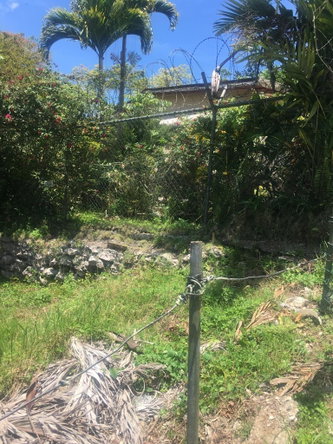 Ninth image of Canaan Road Bamboo St. an in Bamboo, St. Ann, Jamaica - property is For Sale