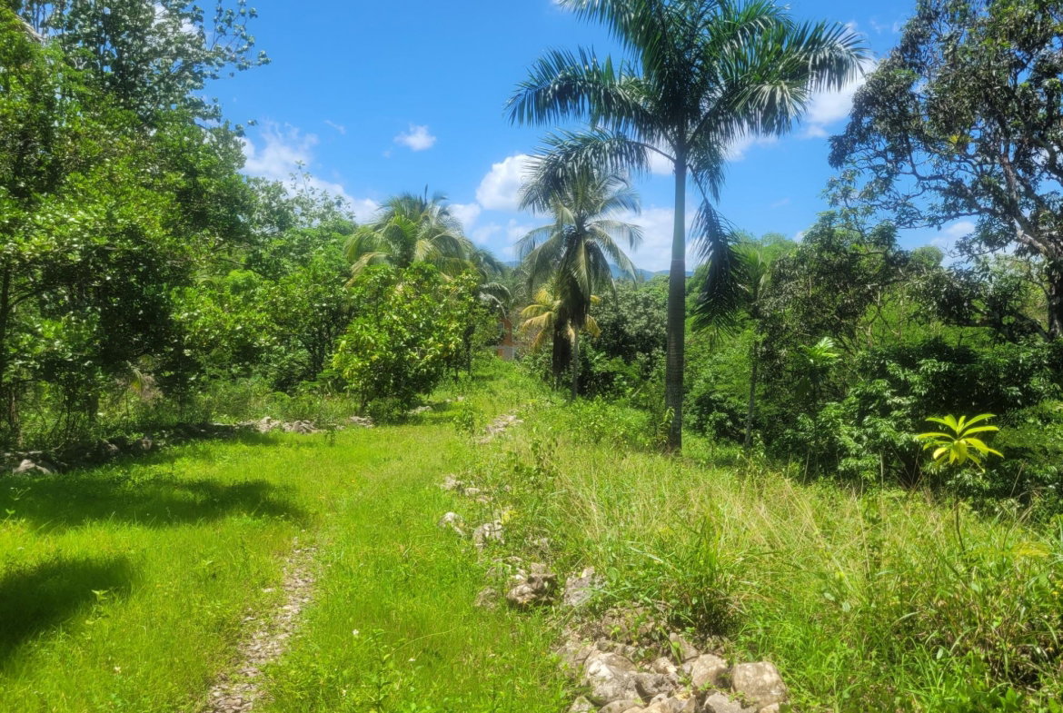 Twenty-Second image of 5 Ducketts, Cambridge in Cambridge, St. James, Jamaica - property is For Sale