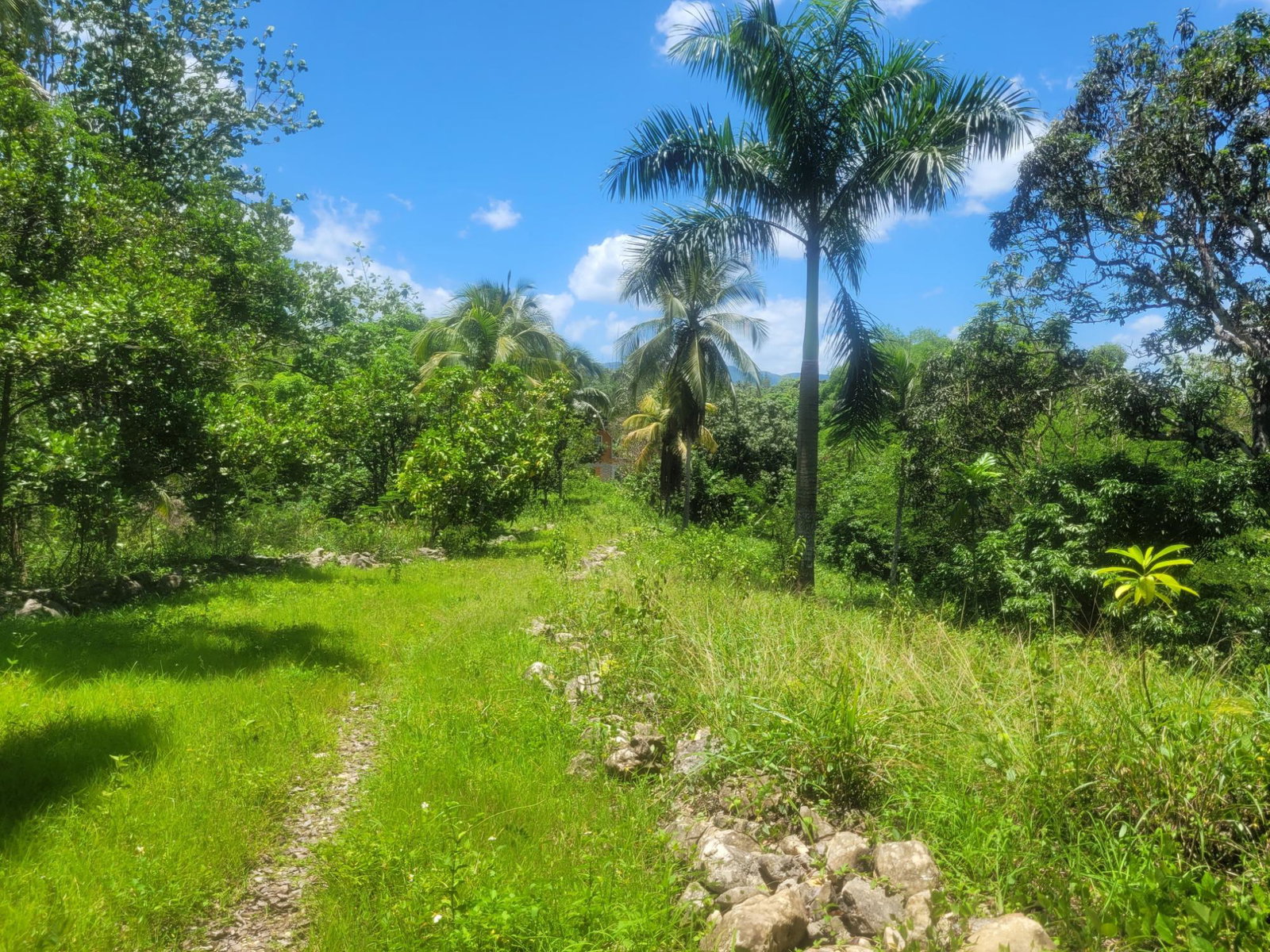Charming-Eco-Tourism-Property-for-Sale-in-Cambridge-Jamaica Twenty-Second image of 5 Ducketts, Cambridge in Cambridge, St. James, Jamaica - property is For Sale