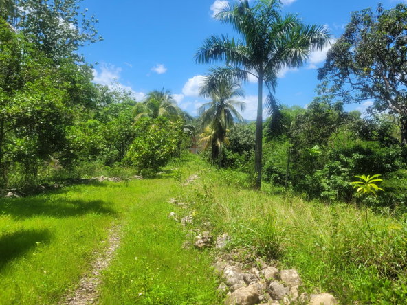 Twenty-Second image of 5 Ducketts, Cambridge in Cambridge, St. James, Jamaica - property is For Sale