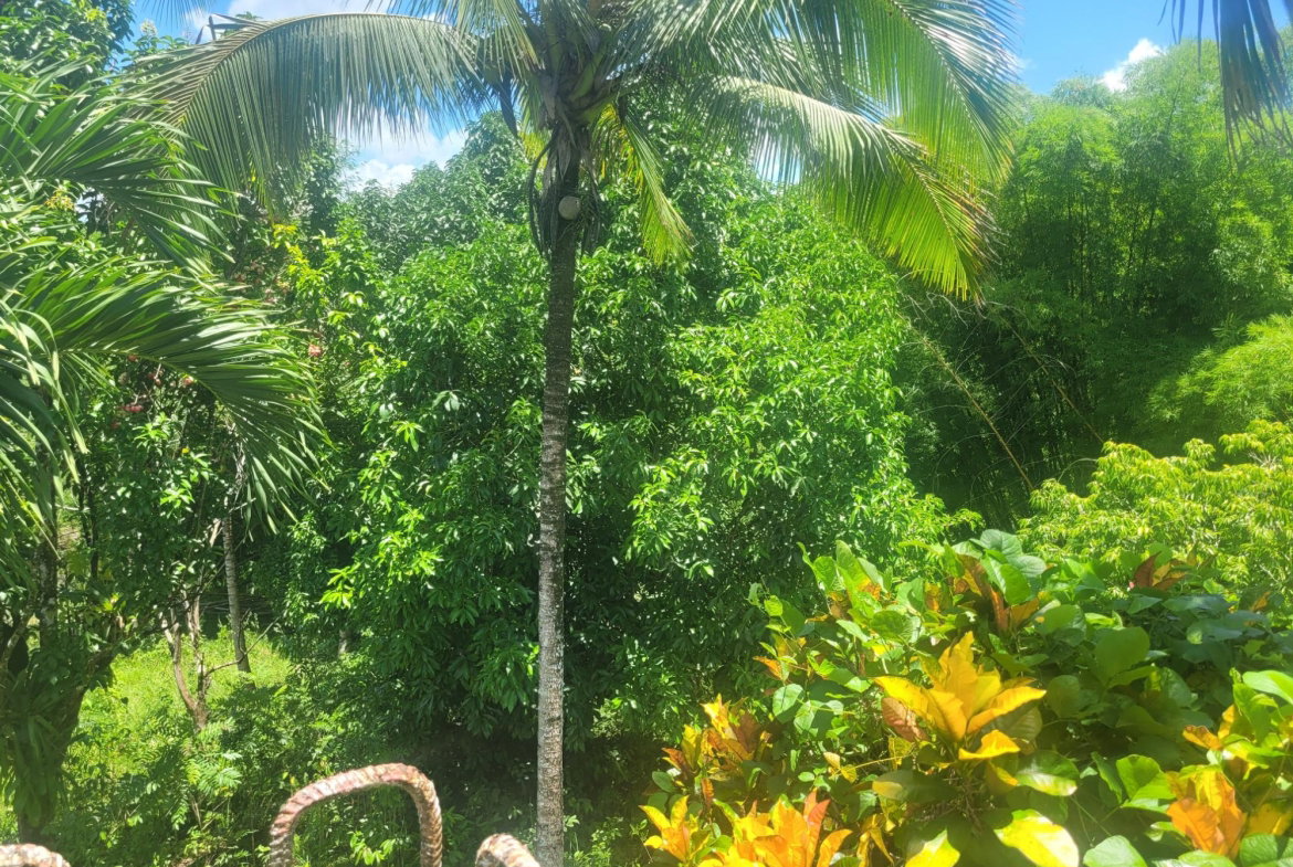Twenty-Third image of 5 Ducketts, Cambridge in Cambridge, St. James, Jamaica - property is For Sale