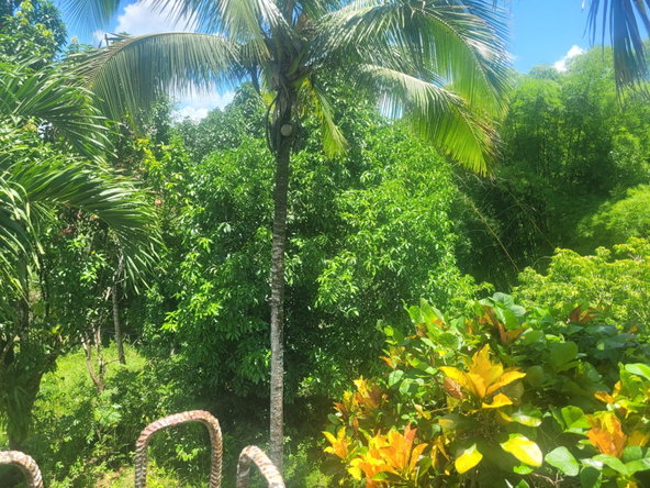 Twenty-Third image of 5 Ducketts, Cambridge in Cambridge, St. James, Jamaica - property is For Sale