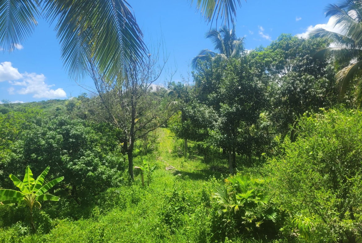 Twenty-Fourth image of 5 Ducketts, Cambridge in Cambridge, St. James, Jamaica - property is For Sale