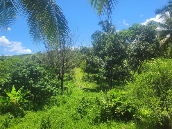 Twenty-Fourth image of 5 Ducketts, Cambridge in Cambridge, St. James, Jamaica - property is For Sale