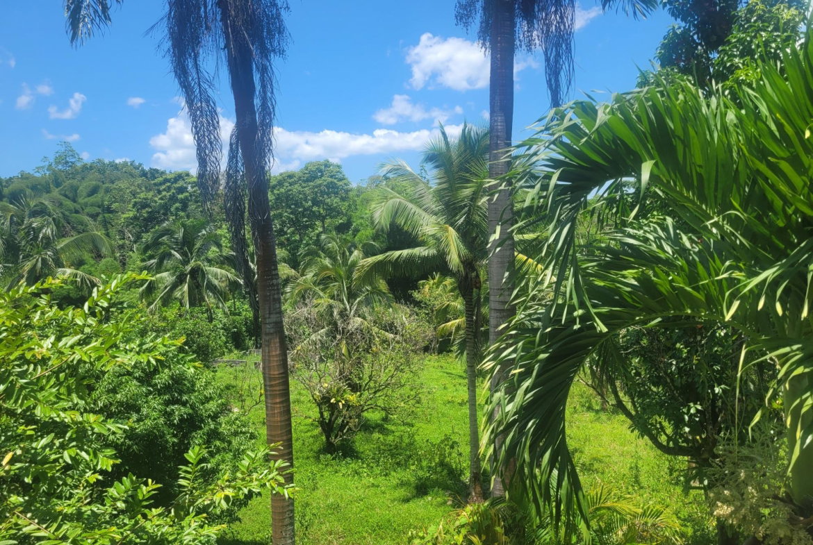 Twenty-Fifth image of 5 Ducketts, Cambridge in Cambridge, St. James, Jamaica - property is For Sale