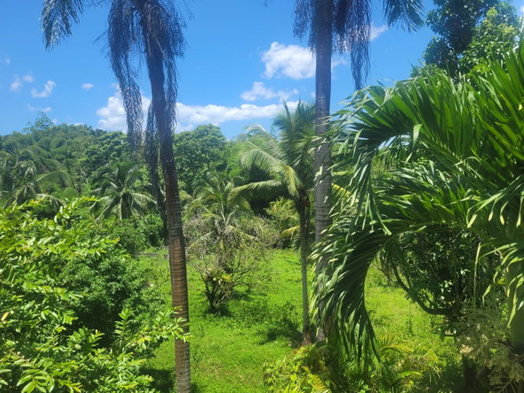 Twenty-Fifth image of 5 Ducketts, Cambridge in Cambridge, St. James, Jamaica - property is For Sale