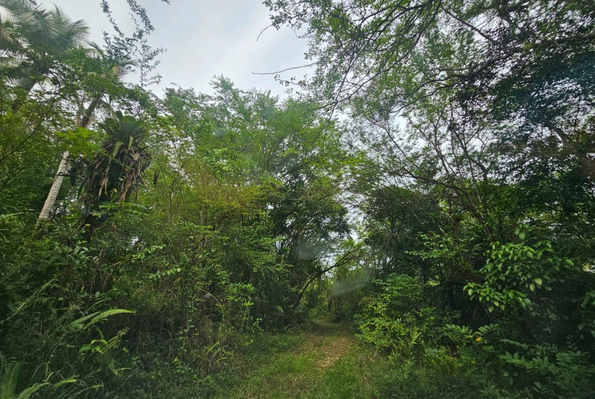 Twenty-Sixth image of 5 Ducketts, Cambridge in Cambridge, St. James, Jamaica - property is For Sale