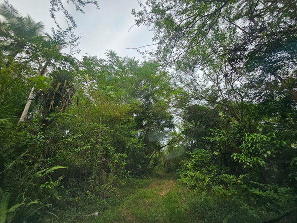 Twenty-Sixth image of 5 Ducketts, Cambridge in Cambridge, St. James, Jamaica - property is For Sale