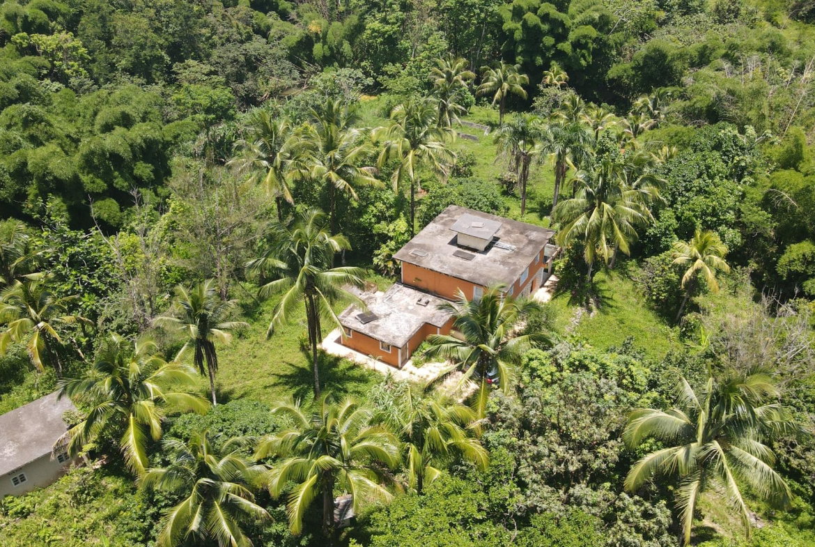 Twenty-Eighth image of 5 Ducketts, Cambridge in Cambridge, St. James, Jamaica - property is For Sale