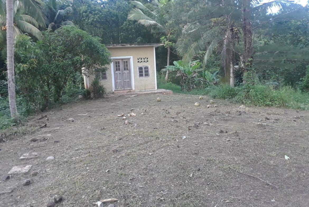 Ninth image of 5 Ducketts, Cambridge in Cambridge, St. James, Jamaica - property is For Sale
