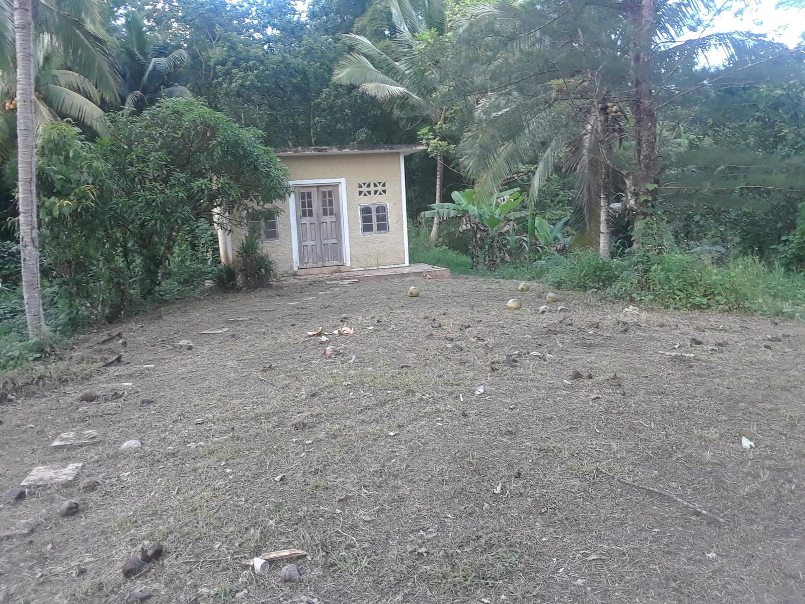 Charming-Eco-Tourism-Property-for-Sale-in-Cambridge-Jamaica Ninth image of 5 Ducketts, Cambridge in Cambridge, St. James, Jamaica - property is For Sale