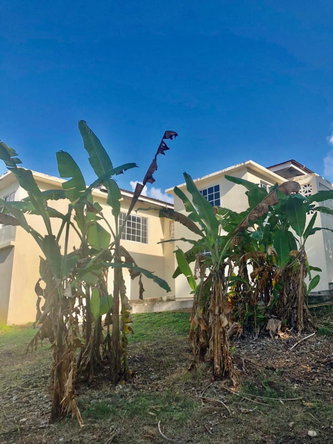 Nineteenth image of 53 Mango Walk, Montego Bay, in Montego Bay, St. James, Jamaica - property is For Rent