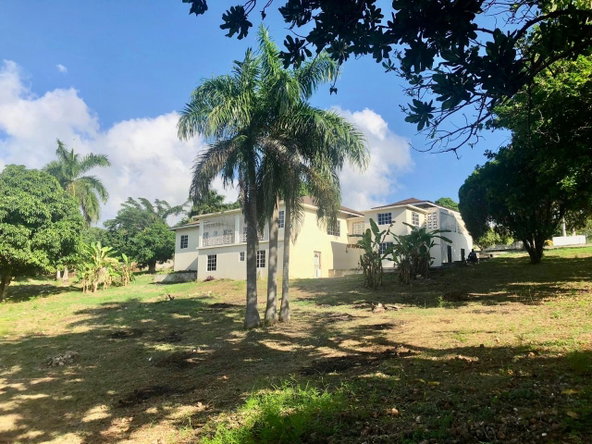 Fifth image of 53 Mango Walk, Montego Bay, in Montego Bay, St. James, Jamaica - property is For Rent