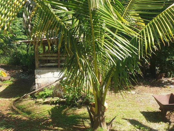 Eleventh image of 40 Bounty Hall in Wakefield, Trelawny, Jamaica - property is For Sale