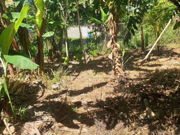 Twelfth image of 40 Bounty Hall in Wakefield, Trelawny, Jamaica - property is For Sale