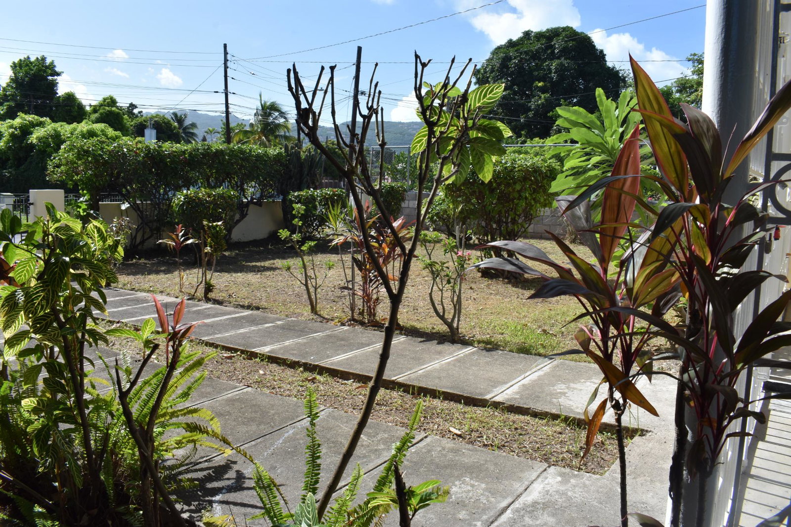 Fifth image of 8 Lawrence Drive, Kingston in Kingston 8, St. Andrew, Jamaica - property is For Sale