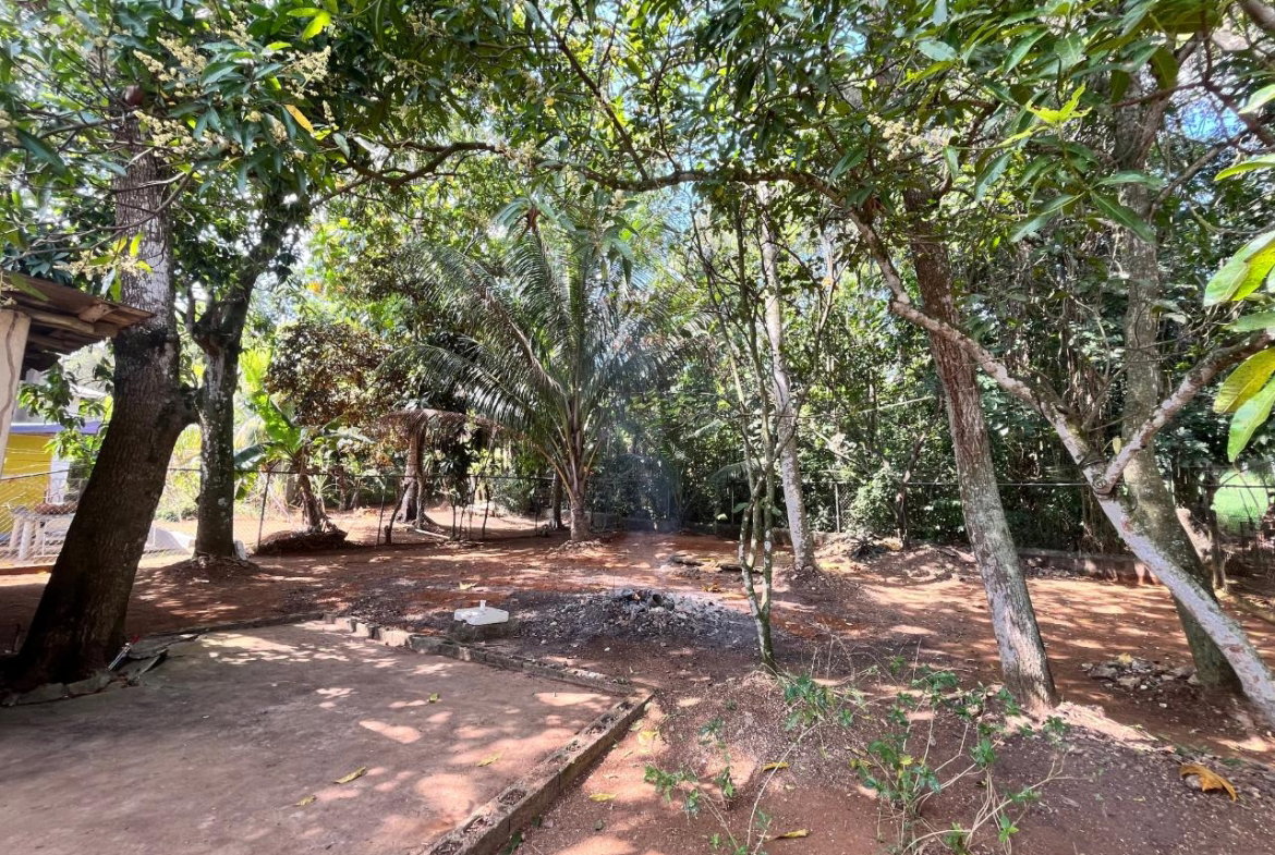 Twenty-Fourth image of Hanson Ave, Santa Cruz in Santa Cruz, St. Elizabeth, Jamaica - property is For Sale