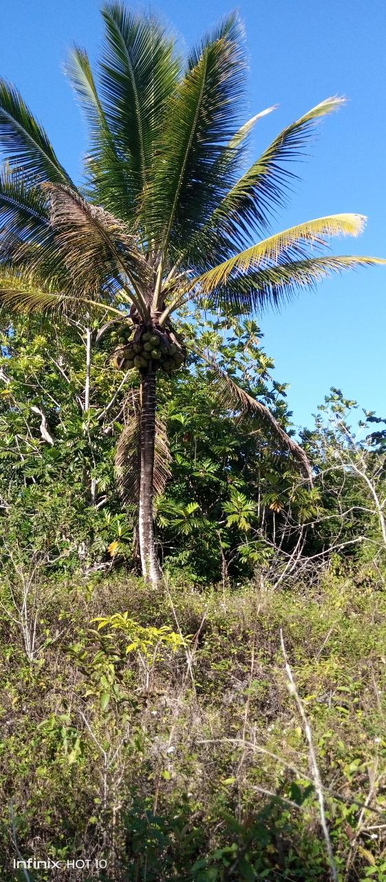 Second image of Keith Hall, Sligoville st in Sligoville, St. Catherine, Jamaica - property is For Sale