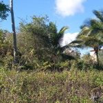 First image of Keith Hall, Sligoville st in Sligoville, St. Catherine, Jamaica - property is For Sale