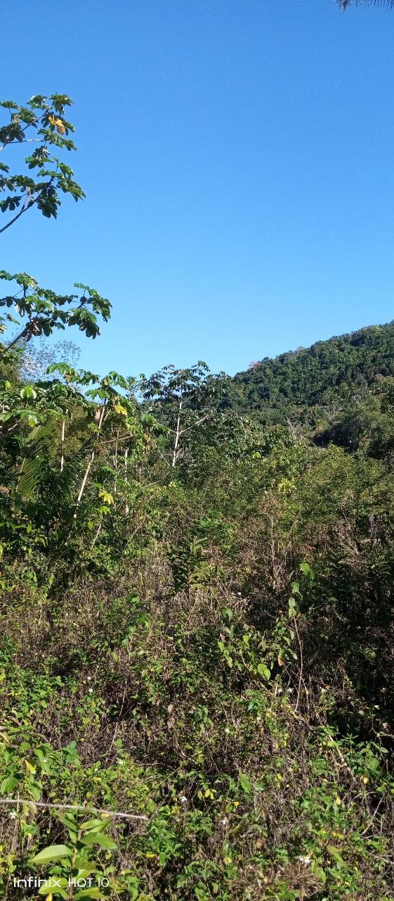 Third image of Keith Hall, Sligoville st in Sligoville, St. Catherine, Jamaica - property is For Sale