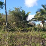 First image of Keith Hall, Sligoville st in Sligoville, St. Catherine, Jamaica - property is For Sale