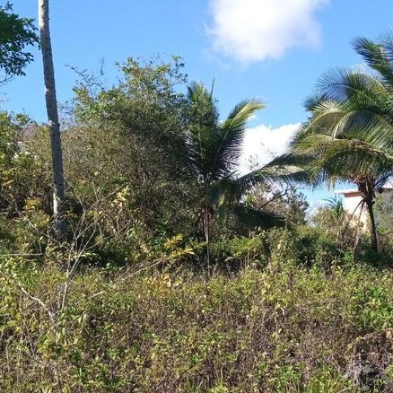 First image of Keith Hall, Sligoville st in Sligoville, St. Catherine, Jamaica - property is For Sale