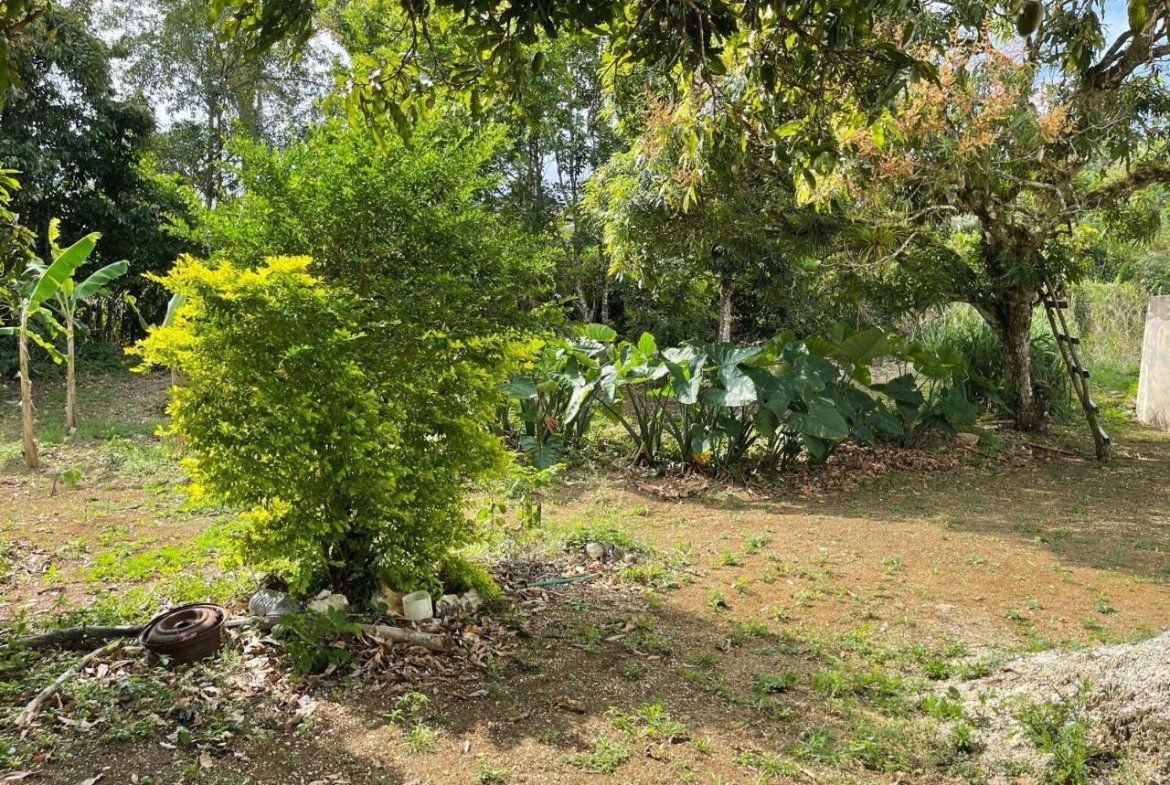 Fourth image of Lot 5 Rohamton in Montego Bay, St. James, Jamaica - property is For Sale