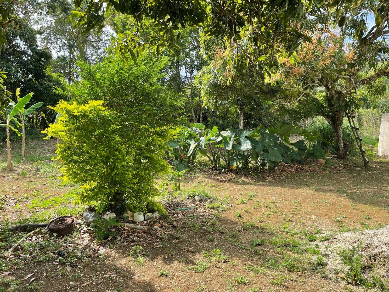 Fourth image of Lot 5 Rohamton in Montego Bay, St. James, Jamaica - property is For Sale