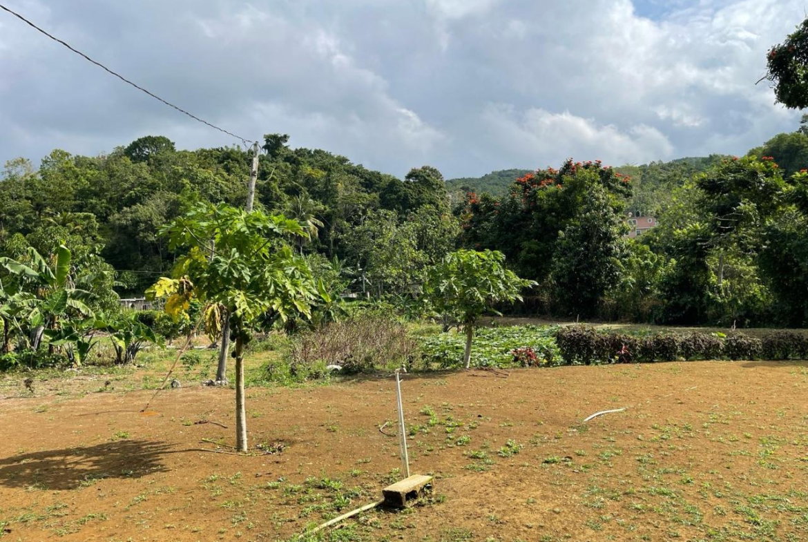 Fifth image of Lot 5 Rohamton in Montego Bay, St. James, Jamaica - property is For Sale