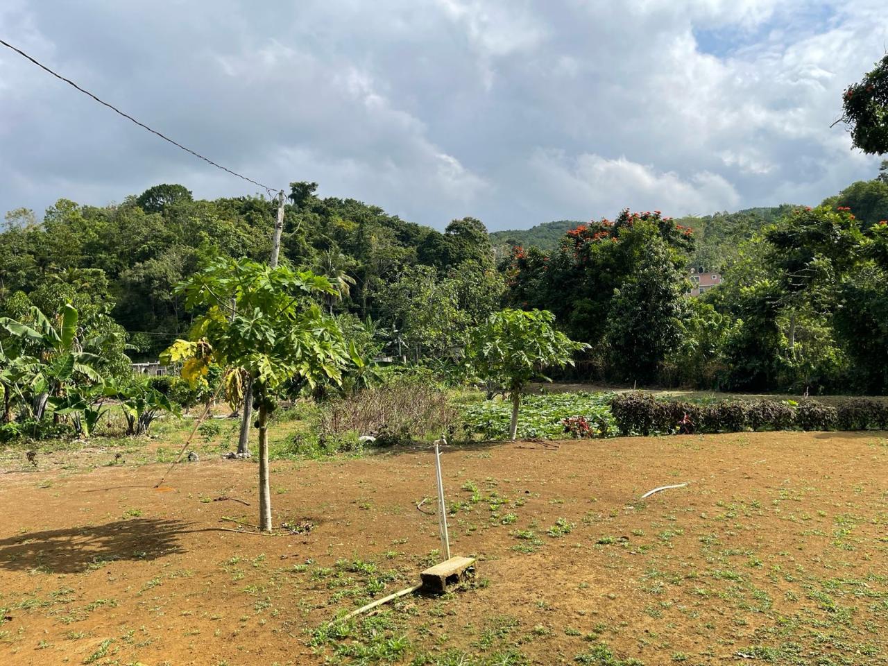 Fifth image of Lot 5 Rohamton in Montego Bay, St. James, Jamaica - property is For Sale