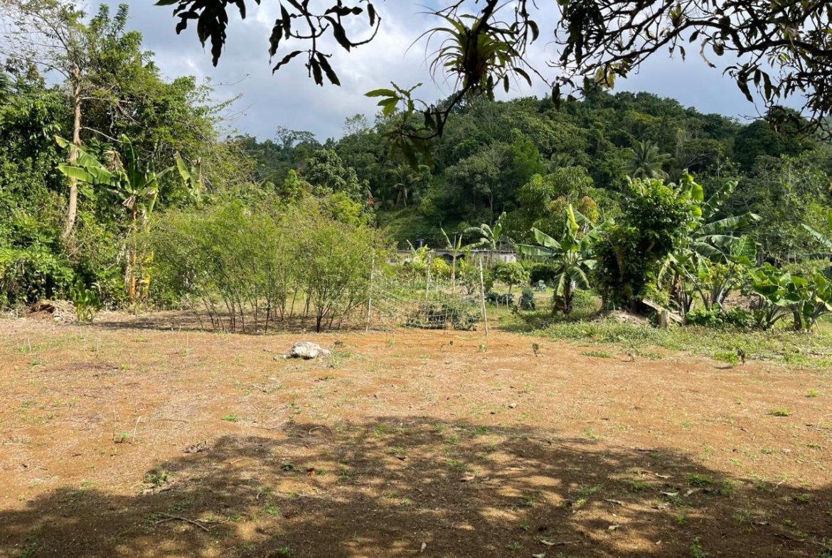 Sixth image of Lot 5 Rohamton in Montego Bay, St. James, Jamaica - property is For Sale