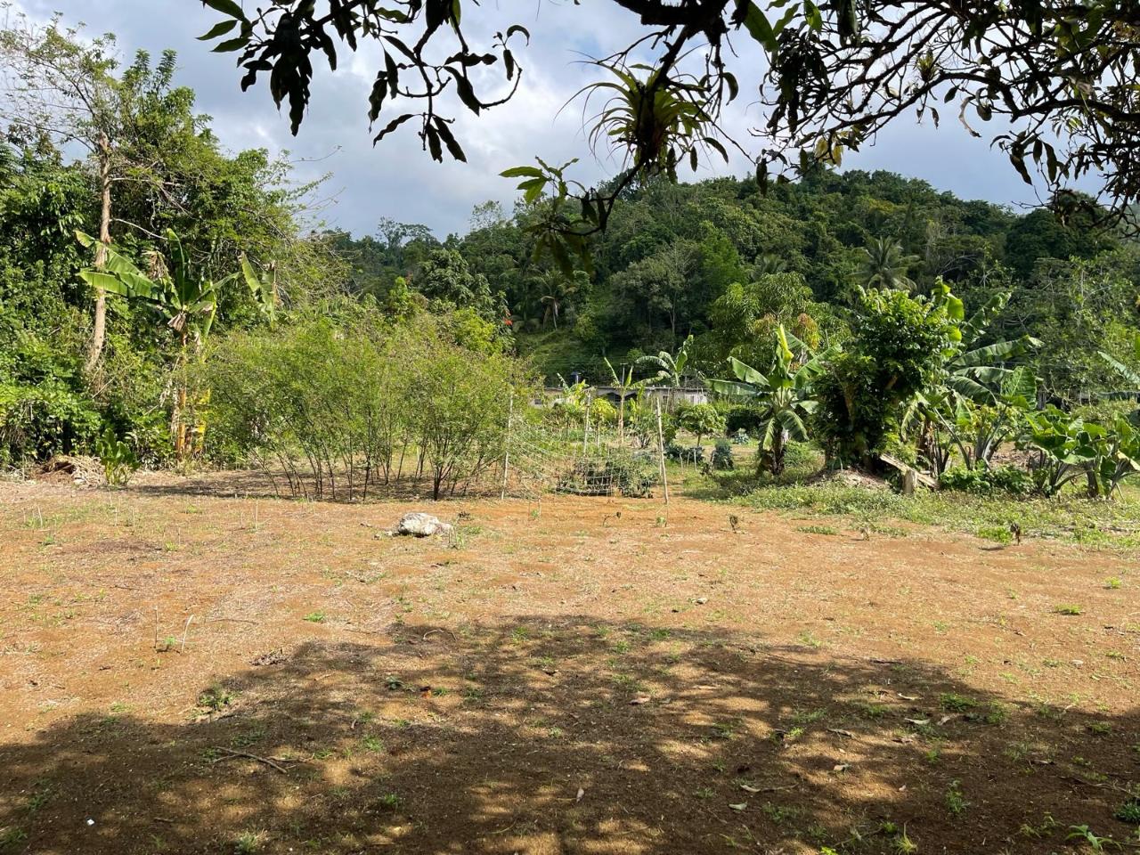 Sixth image of Lot 5 Rohamton in Montego Bay, St. James, Jamaica - property is For Sale