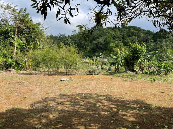 Sixth image of Lot 5 Rohamton in Montego Bay, St. James, Jamaica - property is For Sale