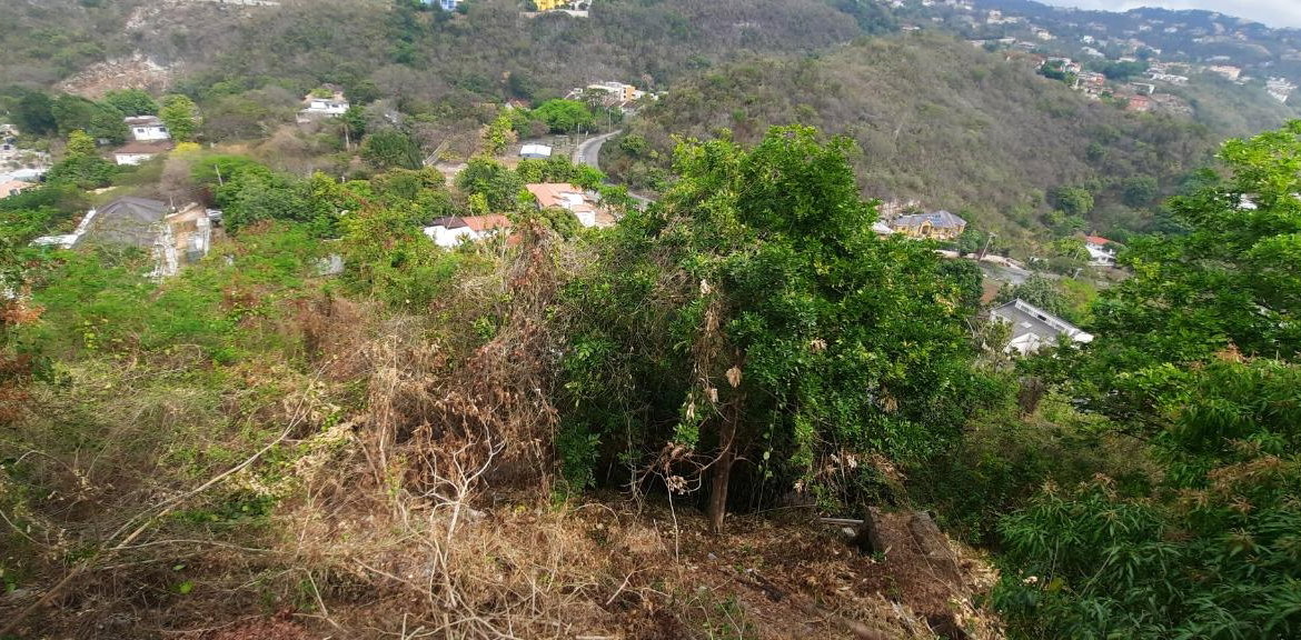 Third image of 16 Throne Circle in Kingston 19, St. Andrew, Jamaica - property is For Sale