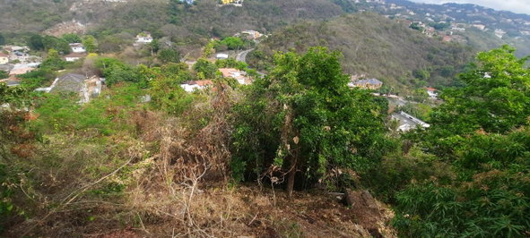 Third image of 16 Throne Circle in Kingston 19, St. Andrew, Jamaica - property is For Sale