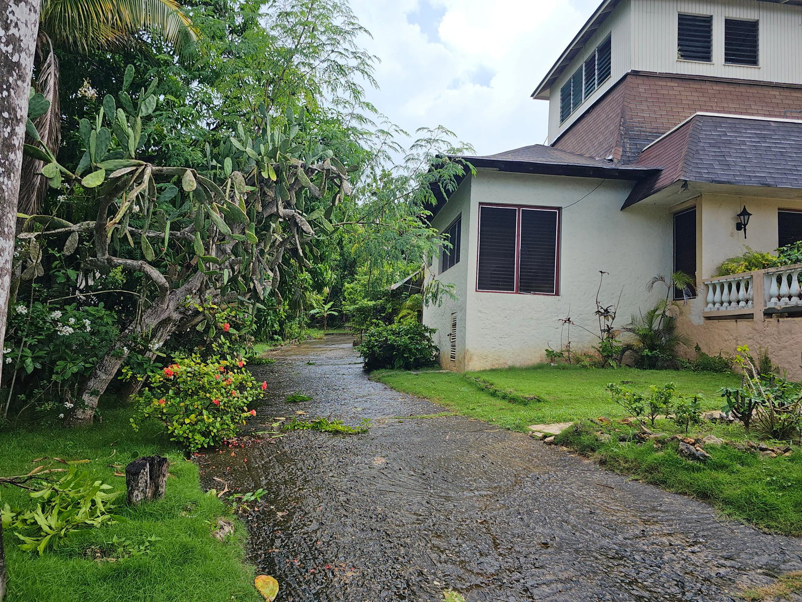 Eighth image of Unity Hall Reading St. James in Unity Hall, St. James, Jamaica - property is For Sale