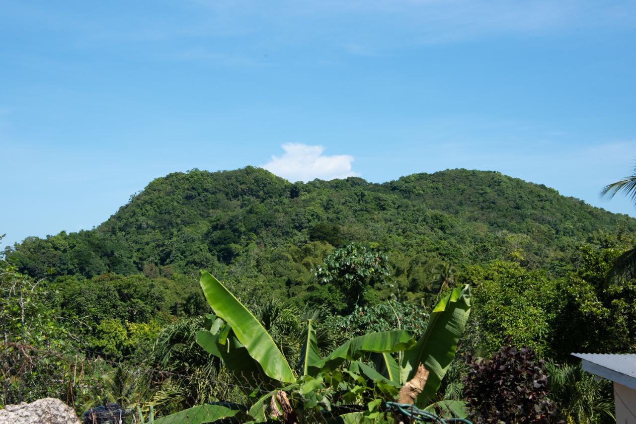 Eleventh image of 0 Rose Street Lucky Hill in Lucky Hill, St. Mary, Jamaica - property is For Sale
