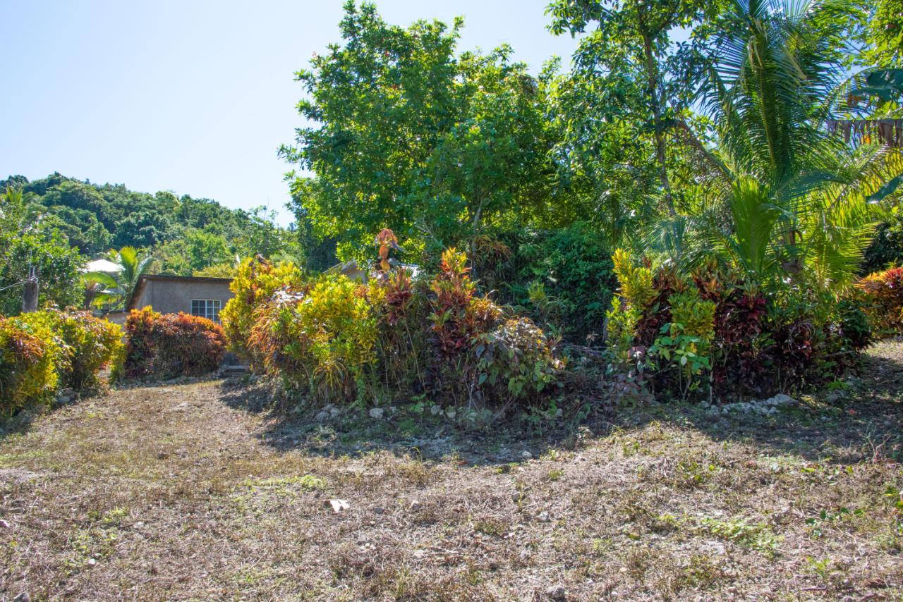 Ninth image of 0 Rose Street Lucky Hill in Lucky Hill, St. Mary, Jamaica - property is For Sale