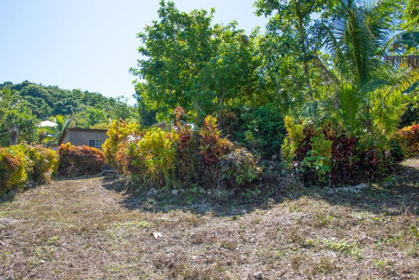 Ninth image of 0 Rose Street Lucky Hill in Lucky Hill, St. Mary, Jamaica - property is For Sale
