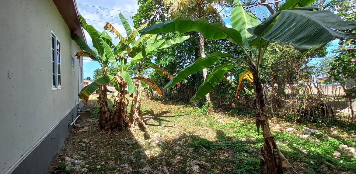Fifth image of Race Course, Oracabessa in Oracabessa, St. Mary, Jamaica - property is For Sale
