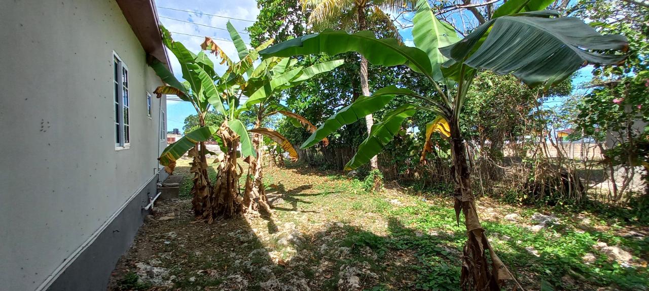 Fifth image of Race Course, Oracabessa in Oracabessa, St. Mary, Jamaica - property is For Sale