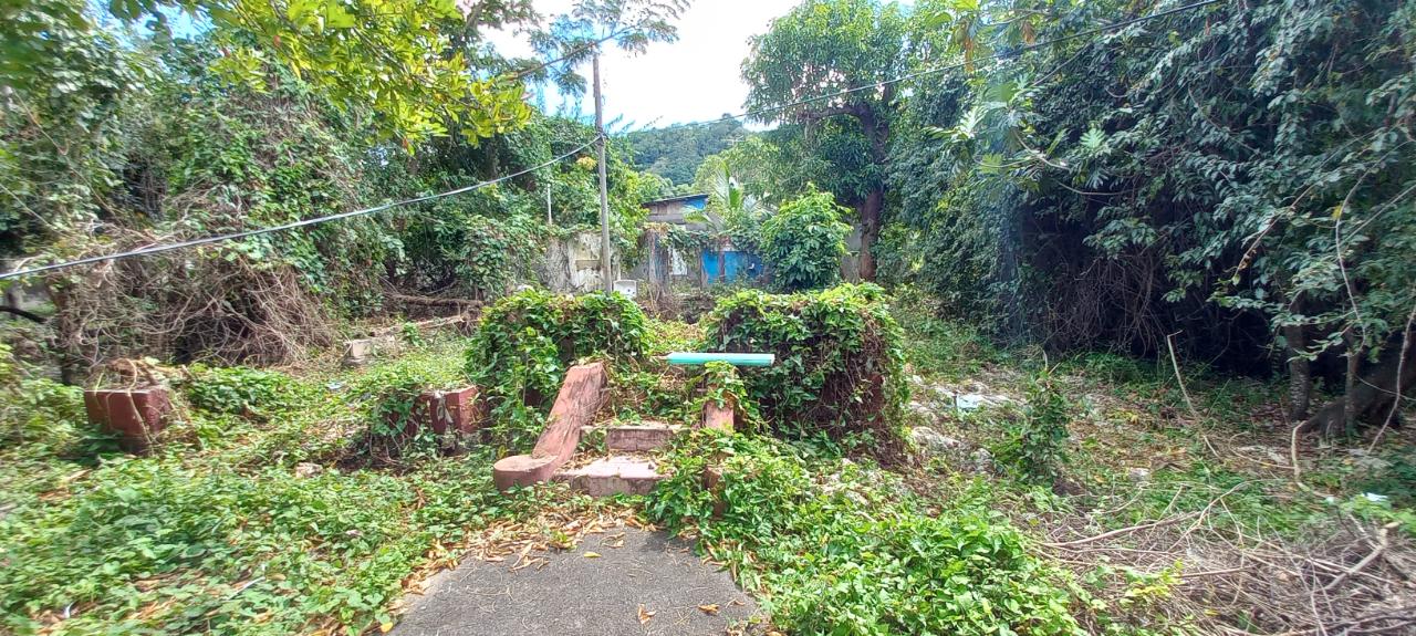 Sixth image of Race Course, Oracabessa in Oracabessa, St. Mary, Jamaica - property is For Sale