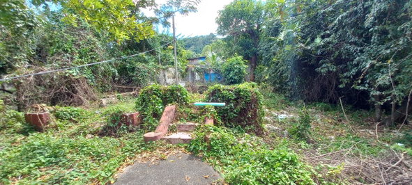 Sixth image of Race Course, Oracabessa in Oracabessa, St. Mary, Jamaica - property is For Sale