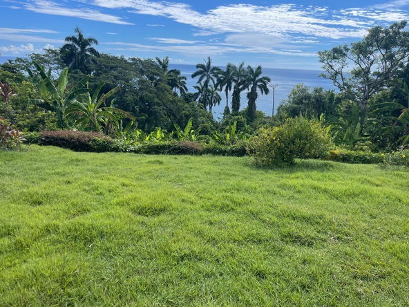Fourteenth image of 2 Wentworth st Mary in Wentworth, St. Mary, Jamaica - property is For Sale